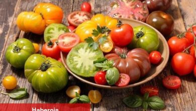 Buzdolabına konulmaması gereken yiyecekler!