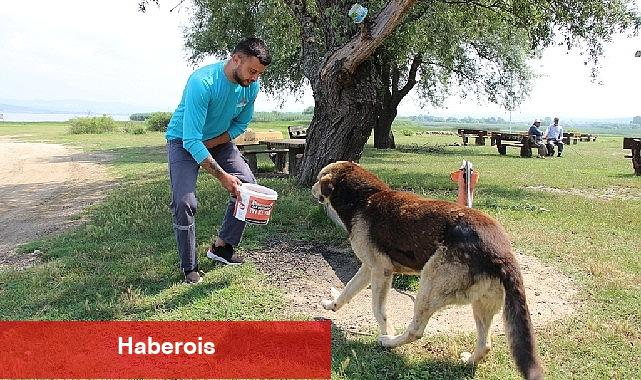 Can dostlar unutulmuyor - Haberois Can dostlar unutulmuyor