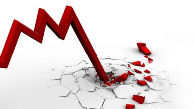 CEO’su Gizemli Biçimde Ortadan Kaybolan Altcoin Çöktü!