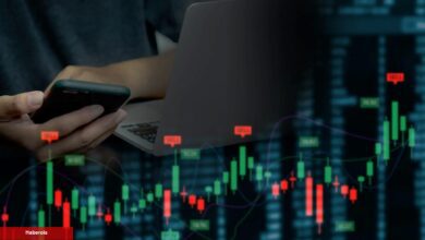 CEO’su Kaçan O Altcoin Tekrar Aktif! Fiyatı Fırladı!