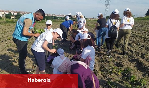 Çocuklar yerel fideleri toprakla buluşturdu - Haberois Çocuklar yerel fideleri toprakla buluşturdu