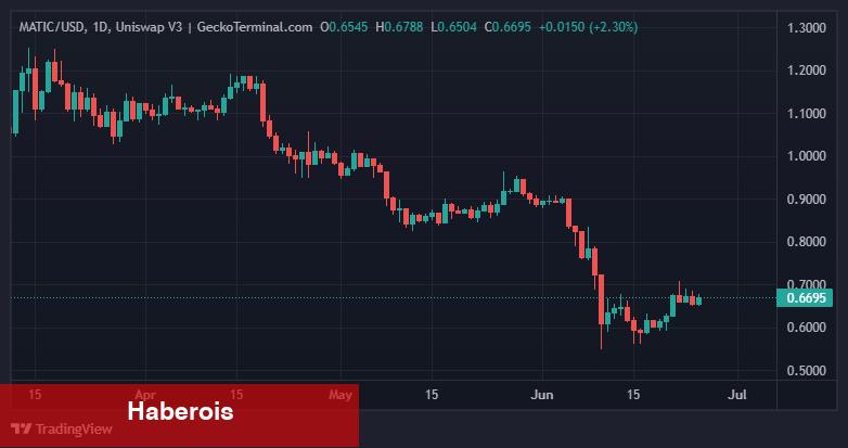 Danışmanlık Devi: Bu 2 Altcoin Boğa Koşusuna Hazırlanıyor!