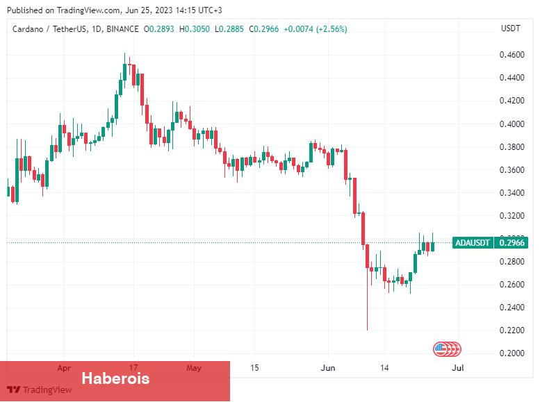 Danışmanlık Devi: Bu 2 Altcoin Boğa Koşusuna Hazırlanıyor!