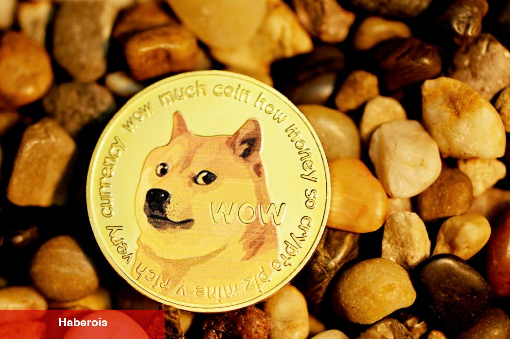 Danışmanlık Devi: Dogecoin Değil! Bu Kripto Paradan Alın