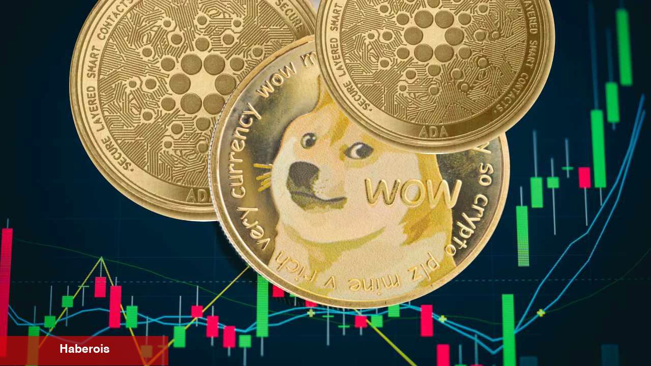 Danışmanlık Devi: Dogecoin Değil! Bu Kripto Paradan Alın