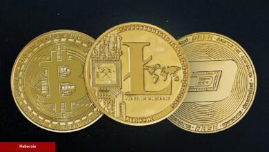 DASH Gerçekleştirdi! Artık Hangi Coinler Halving Hazırlığında?