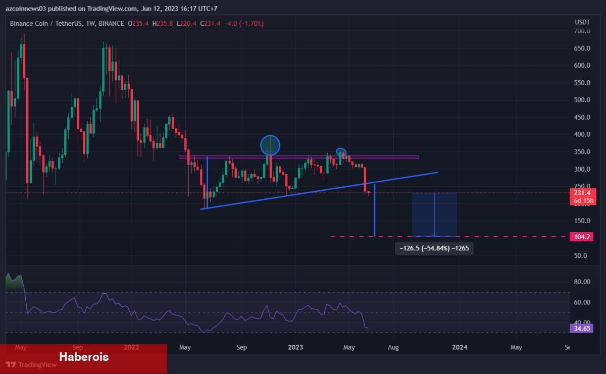 Dev Kripto Balinası, Elindeki Bu Coini Binance’de Sattı!