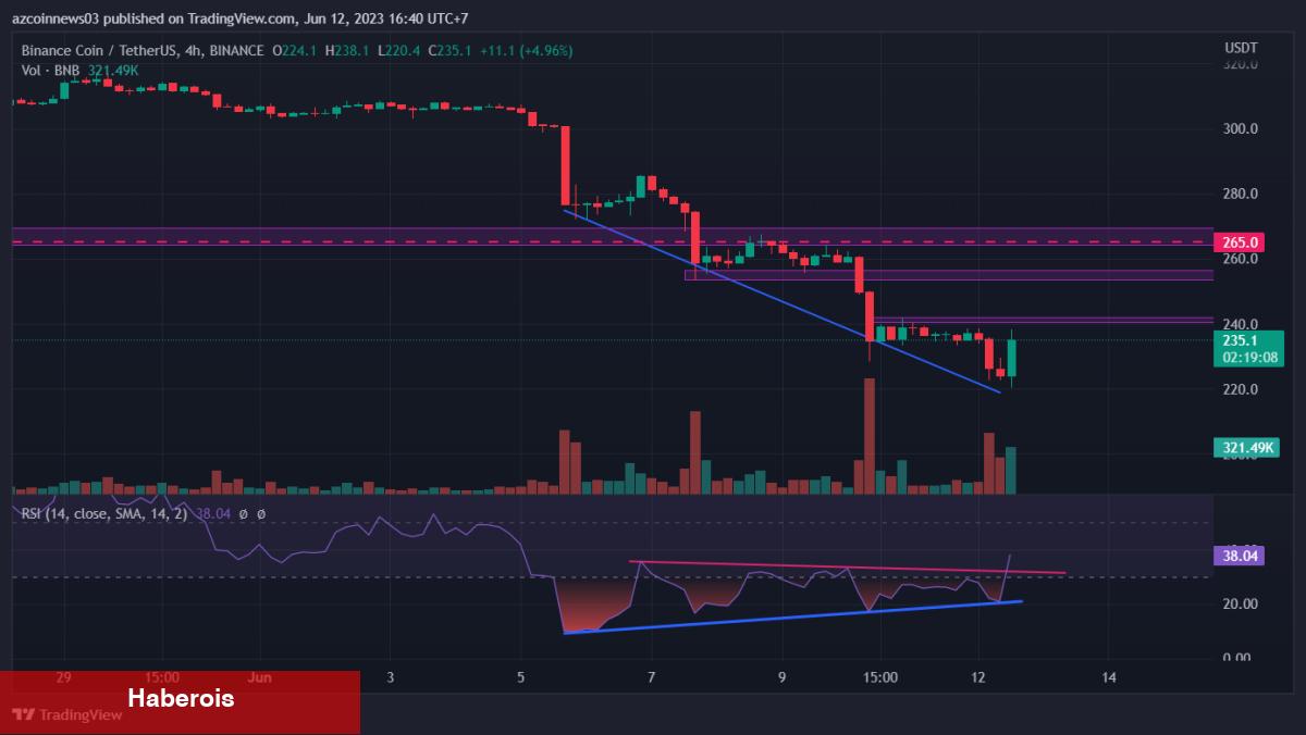 Dev Kripto Balinası, Elindeki Bu Coini Binance’de Sattı!