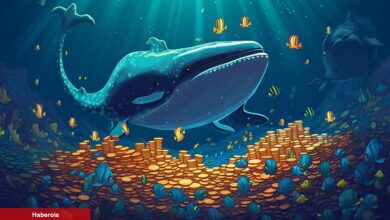 Devasa Balina, Bu Altcoin’in Hepsini Sattı! Sebebi Ne?