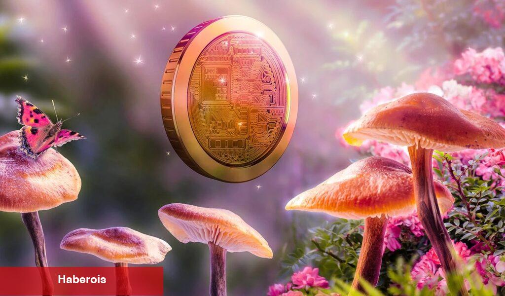 Dikkat: Türklerin Sepetindeki Bu Altcoin, Binance’e Boşaltılıyor!