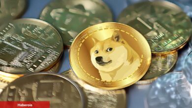 DOGE ve İki Altcoin’de Ralli ve Bu Coinde Satış Bekleniyor!