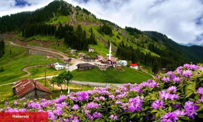 Doğu Karadeniz’in gizli cennetlerini yayla tatili ile keşfedin - Haberois Doğu Karadeniz’in gizli cennetlerini yayla tatili ile keşfedin