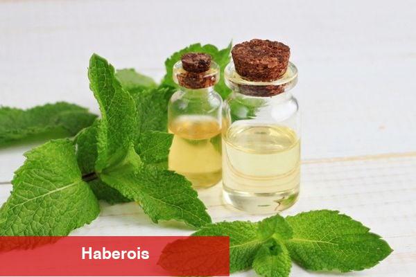 Dudak dolgunlaştırıcınızı meskende yapın! - Haberois Dudak dolgunlaştırıcınızı meskende yapın!