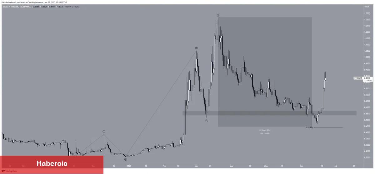 Düşen Kripto Piyasasında Bu 5 Altcoin Herkesi Şaşırttı!