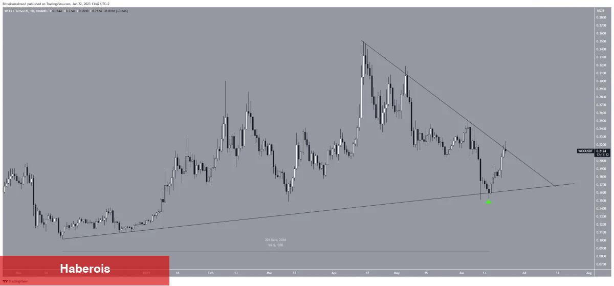 Düşen Kripto Piyasasında Bu 5 Altcoin Herkesi Şaşırttı!