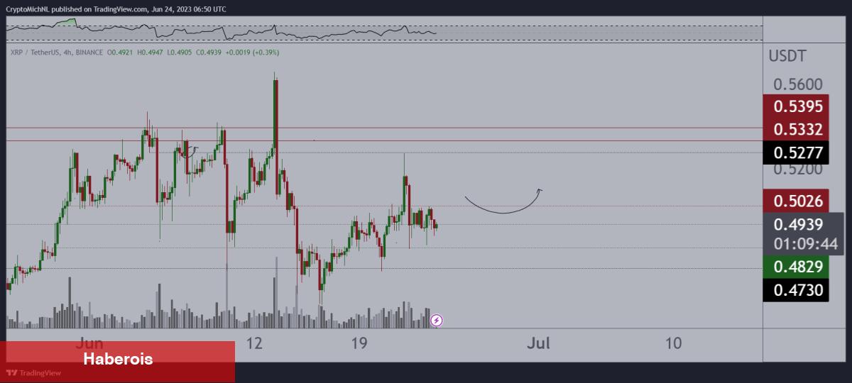 Efsane Analistlerden BTC, PEPE, LTC, XRP, ETH İçin Tahminler!