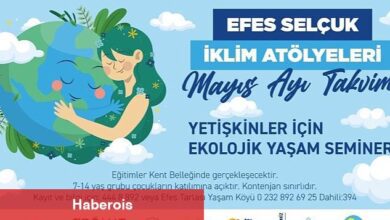 Ekolojik Kriz Bir Sistem Krizidir