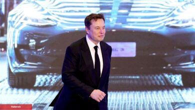 Elon Musk DOGE, FLOKI Değil! Bu Coini Uçurdu!