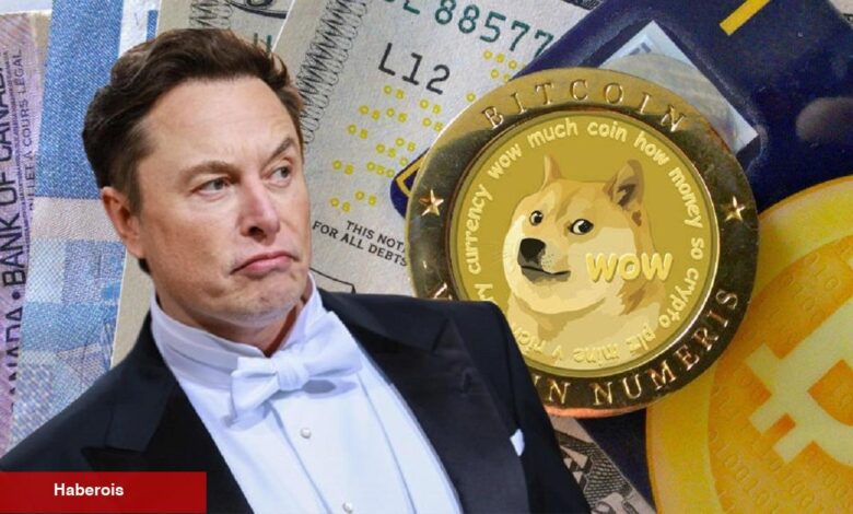 Elon Musk Dogecoin Davasında Sıcak Gelişme! - Haberois Elon Musk Dogecoin Davasında Sıcak Gelişme!