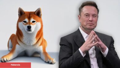 Elon Musk, Dogecoin Hakkındaki Argümanları Yalanladı!