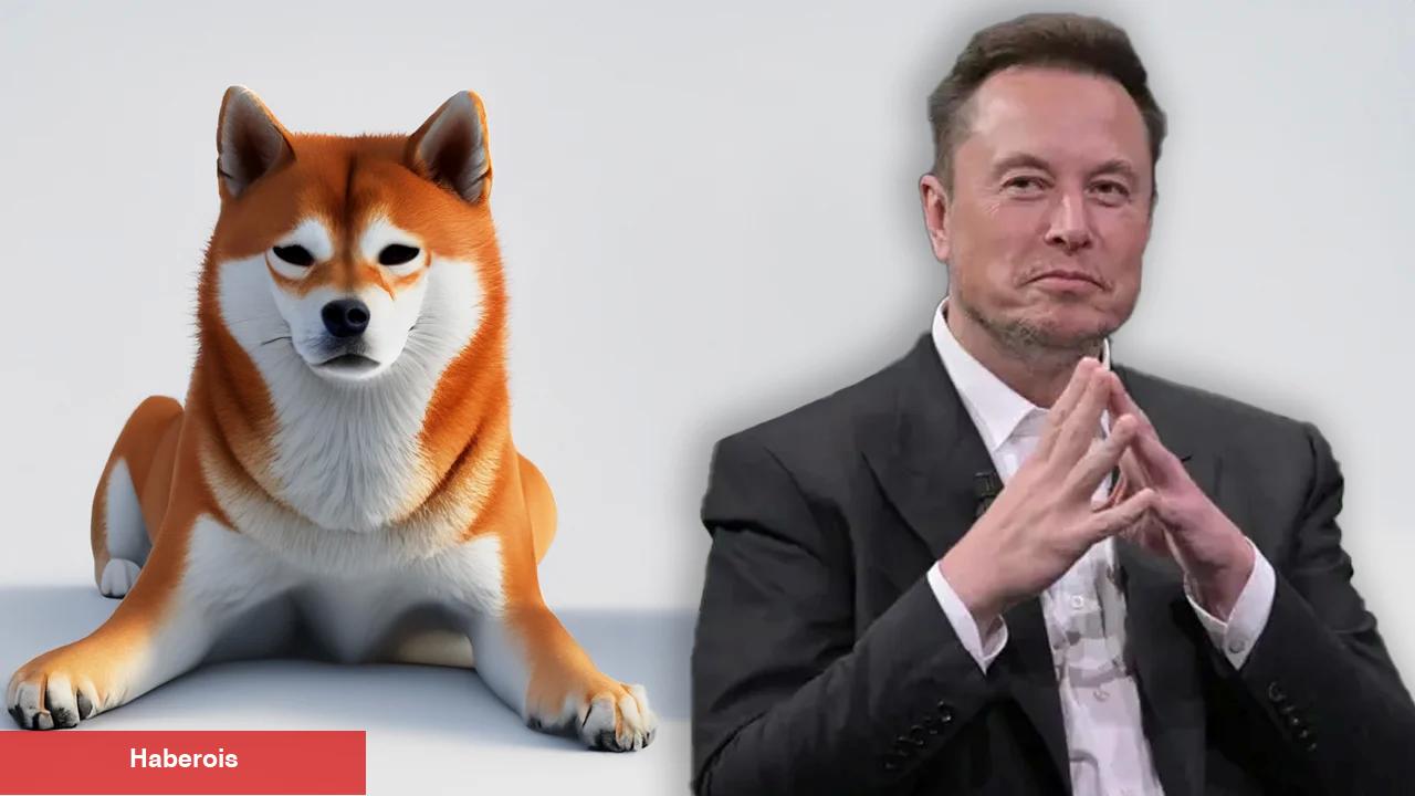 Elon Musk, Dogecoin Hakkındaki Argümanları Yalanladı!