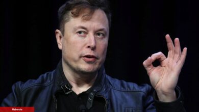 Elon Musk Kontaklı Cüzdanlar, Bu Altcoin ile Doldu!