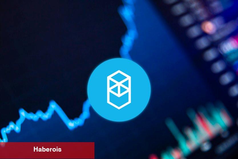 En Büyük 1.000 Balina, AVAX ve Bu Altcoinlerin Peşinde! - Haberois En Büyük 1.000 Balina, AVAX ve Bu Altcoinlerin Peşinde!