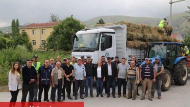 Eskişehir İnönü'de manda yetiştiricilerine balya desteği