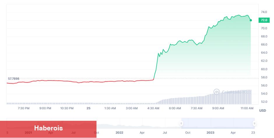 Ethereum Satan Dev Balina, Bu 2 Altcoinden Aldı!