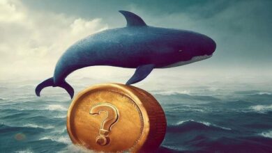 Finans Devi, Bu Altcoin ile Anlaştı! Dev Balinalar Aldı!