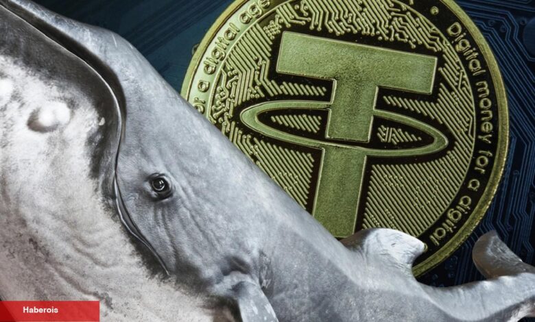 FTX Çöküşü, Tether Depeg ile Bağlı Balinanın Elinde Ne Var? - Haberois FTX Çöküşü, Tether Depeg ile Bağlı Balinanın Elinde Ne Var?