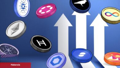 GitHub Patlaması Yaşayan 10 Altcoin Aşikâr Oldu!