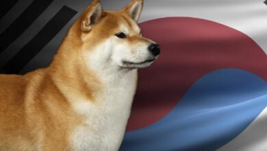 Güney Koreliler SAND, DOGE ve Bu Coinlerin Peşine Düştü!