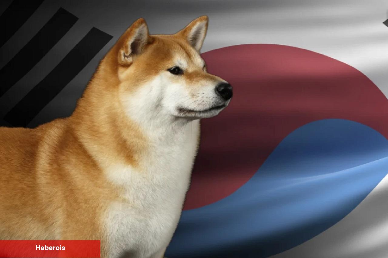 Güney Koreliler SAND, DOGE ve Bu Coinlerin Peşine Düştü!