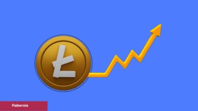 Halvinge 50 Gün Kalan Litecoin Fiyatında Farklı Olay!