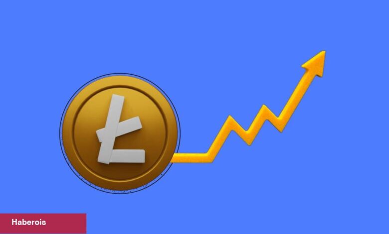 Halvinge 50 Gün Kalan Litecoin Fiyatında Farklı Olay! - Haberois Halvinge 50 Gün Kalan Litecoin Fiyatında Farklı Olay!