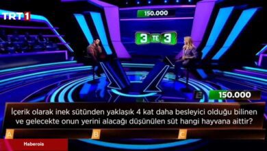 'Hamam böceği sütü' gündeme damgasını vurdu!