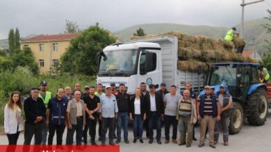 Hayvan üreticilerine balya desteği
