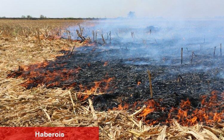 İpsala'da 'anızları yakmayalım' uyarısı - Haberois İpsala'da 'anızları yakmayalım' uyarısı