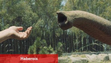 İstanbul Modern Sinema'da Unutma Biçimleri