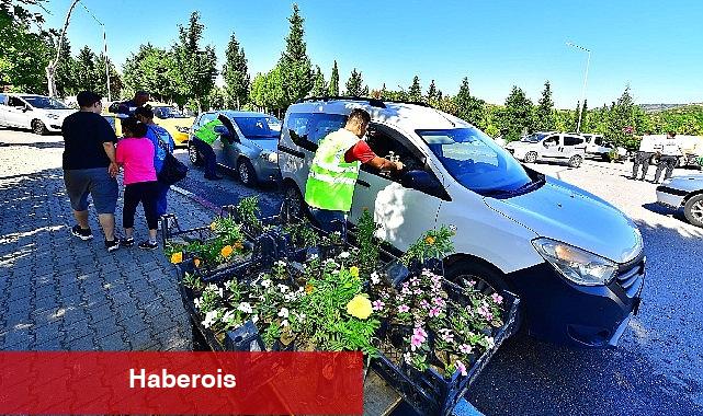 İzmir Büyükşehir Belediyesi'nden mezarlıklarda çiçek sürprizi - Haberois İzmir Büyükşehir Belediyesi'nden mezarlıklarda çiçek sürprizi