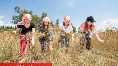 Karakılçık buğdayı akademinin mutfağında - Haberois Karakılçık buğdayı akademinin mutfağında