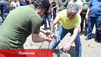 Kemer'de "Caretta caretta ilk yuva" etkinliği yapıldı