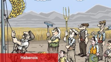 Kooperatif temalı 2. Ulusal Karikatür Yarışması'nın kazananları belli oldu