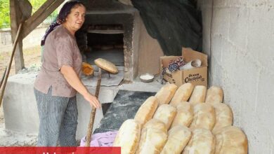 Köylü Firuzan ablanın girişimciliği 'ekmek' kapısı oldu