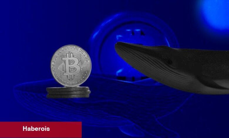 Kripto Balinaları Binance’de Bu Altcoin’leri Alıp, Satıyor! - Haberois Kripto Balinaları Binance’de Bu Altcoin’leri Alıp, Satıyor!