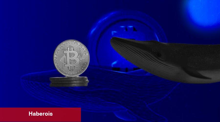 Kripto Balinaları Binance’de Bu Altcoin’leri Alıp, Satıyor!
