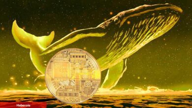Kripto Balinaları, Fırlayan Bu Altcoin’e Akın Etti: Çokça Aldılar