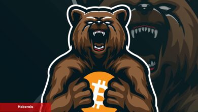 Kripto Para Ayı Piyasası Bitti mi? BTC Tabanı Gördü mü?