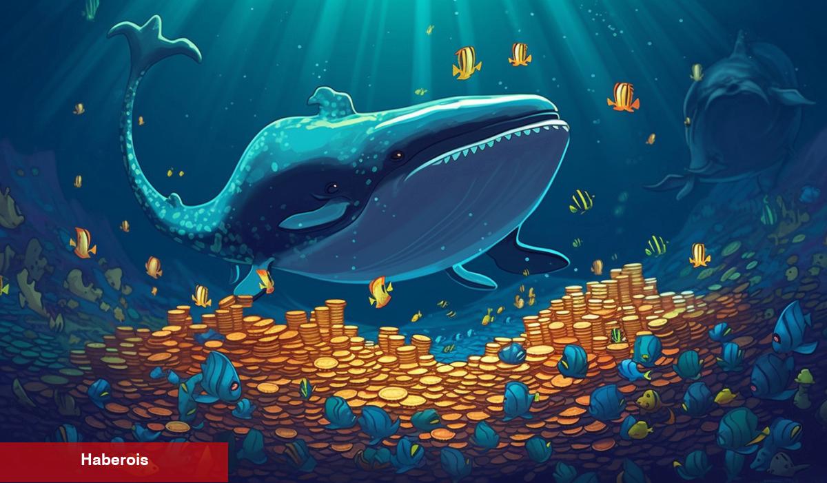 Kripto Para Balinaları, Bu Altcoinleri Açığa Satıyor!